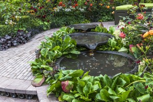 Five Unexpected Garden Design Ideas - bhgrelife.com