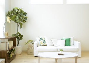 How to Brighten a Small Room - bhgrelife.com