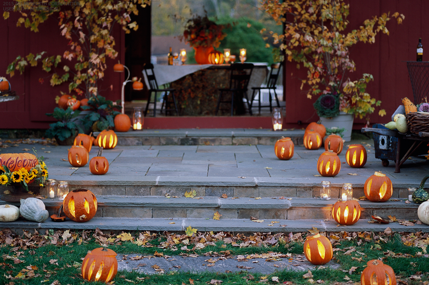 How to Host a Fall Backyard Party - bhgrelife.com