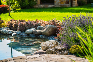 5 Decorating Tips for Your Backyard - bhgrelife.com