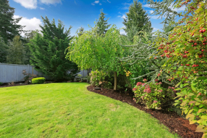 4 Tips for Creating a Luscious Lawn - bhgrelife.com