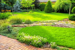 4 Backyard Ideas to Spruce Up Your Home - bhgrelife.com