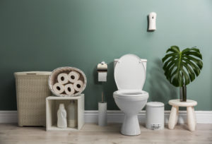 Bathroom interior with new ceramic toilet bowl and a plant