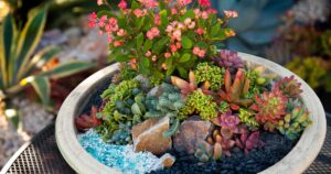 Make a Mini Succulent Garden in a Pot to Boost Your Outdoor Room Design